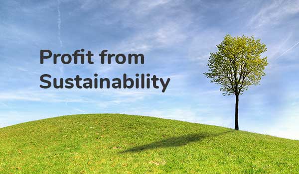 profit from sustainability